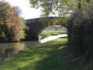  Campo pintoresco 